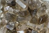 Lot: Lbs Smoky Quartz Crystals (-) - Brazil #84233-2
